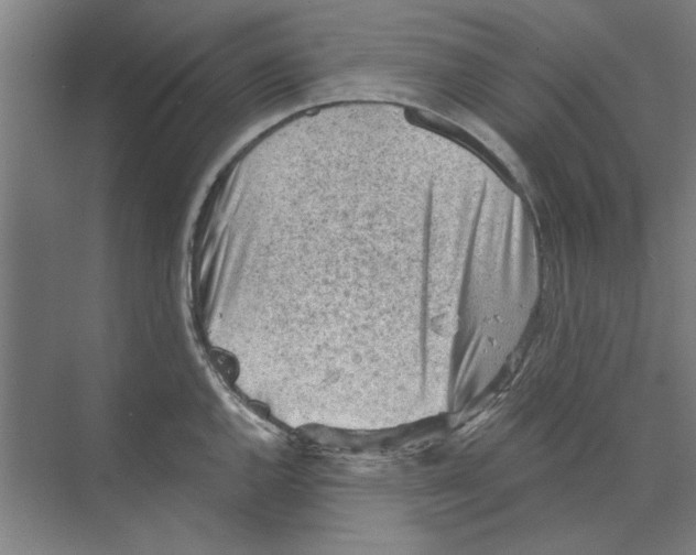 X0000068831144200606021636