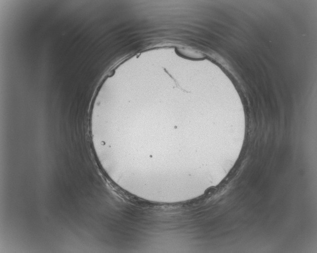 X0000068831145200606021636