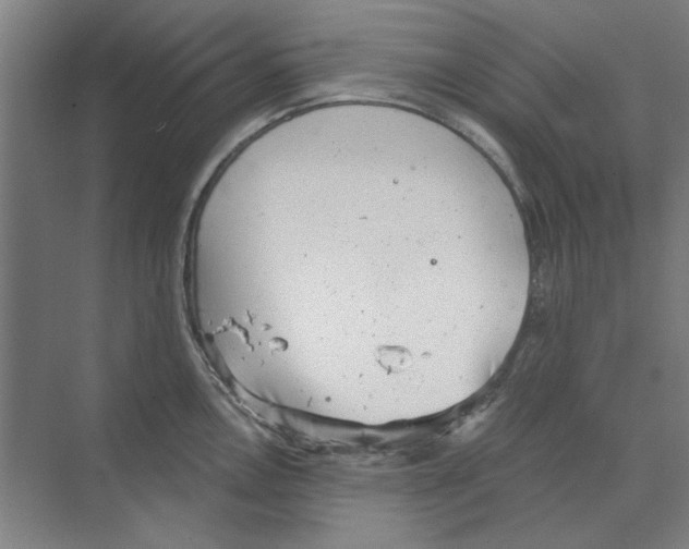 X0000068831146200606021636