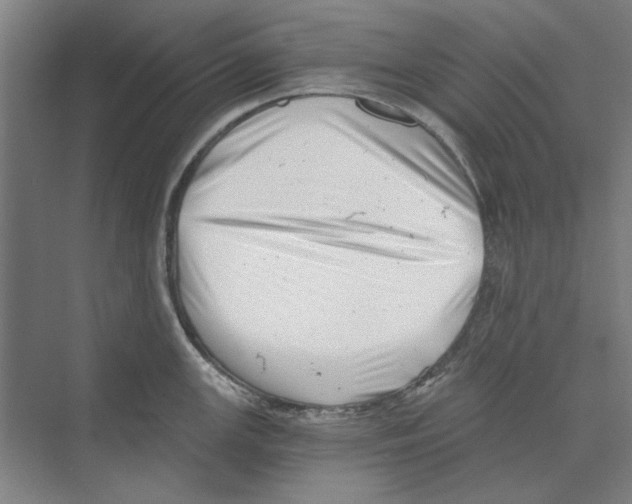 X0000068831147200606021636