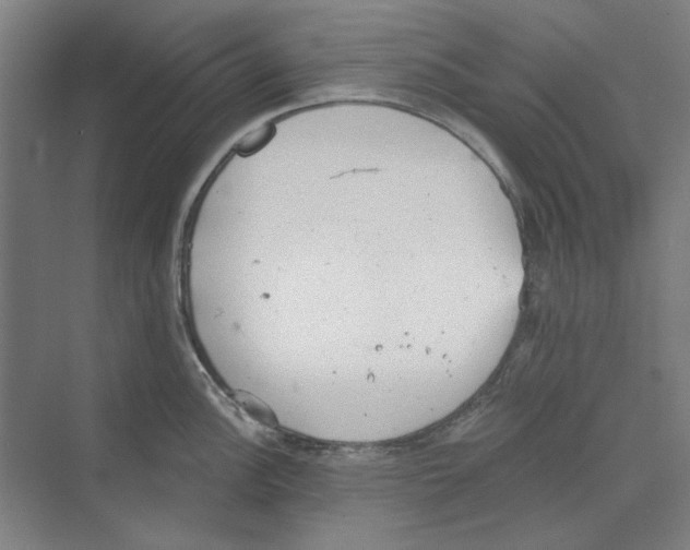 X0000068831148200606021636