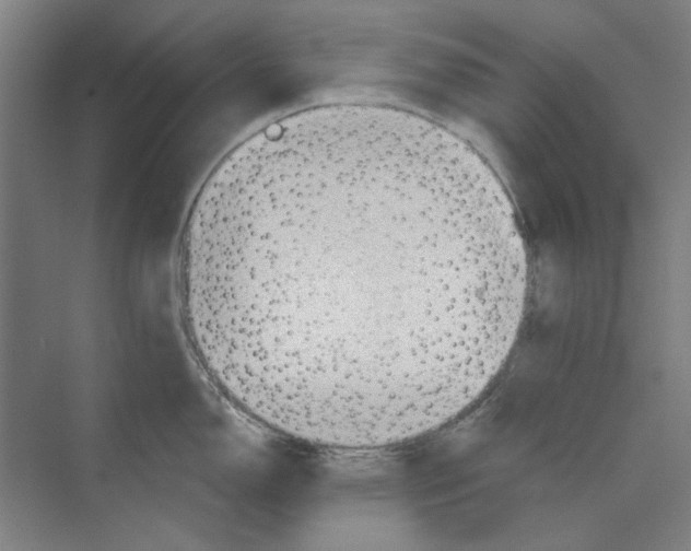 X0000068831150200606021636