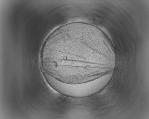 X0000068831151200606021636