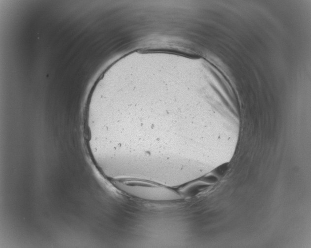 X0000068831152200606021636