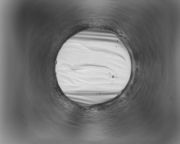 X0000068831153200606021635