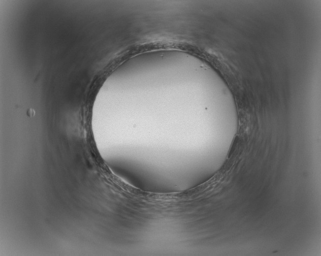 X0000068831157200606021635