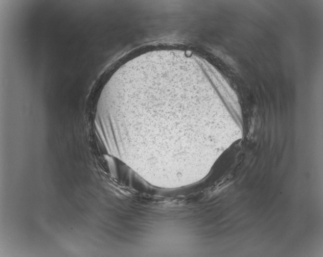 X0000068831160200606021635