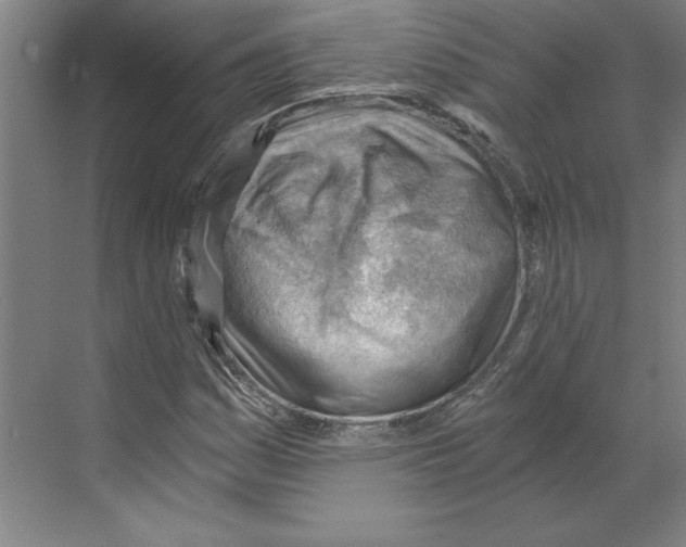 X0000068831161200606021635