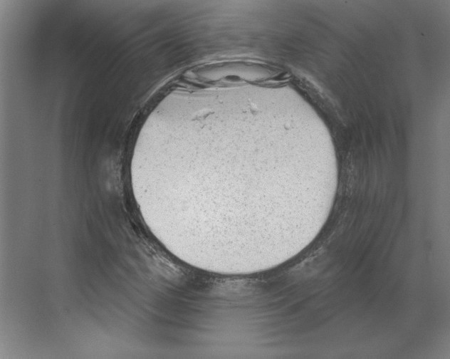 X0000068831162200606021635