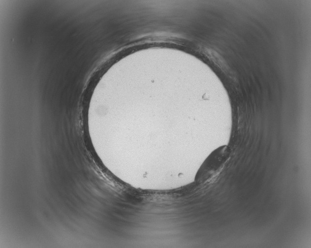 X0000068831164200606021635