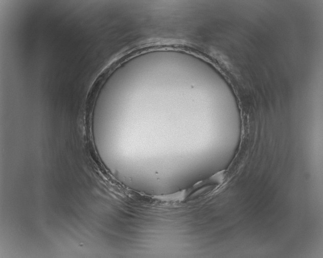 X0000068831165200606021635