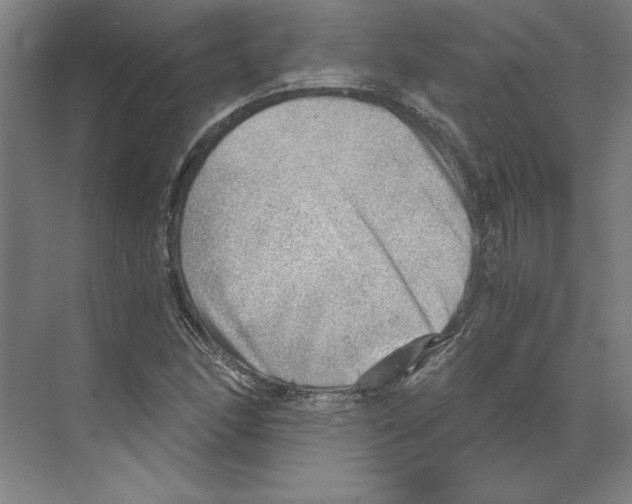 X0000068831166200606021635