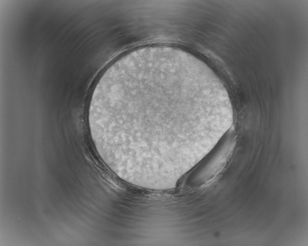 X0000068831170200606021635