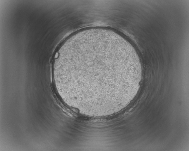 X0000068831171200606021635