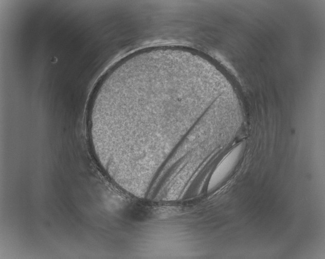 X0000068831173200606021635