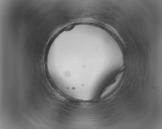 X0000068831176200606021635