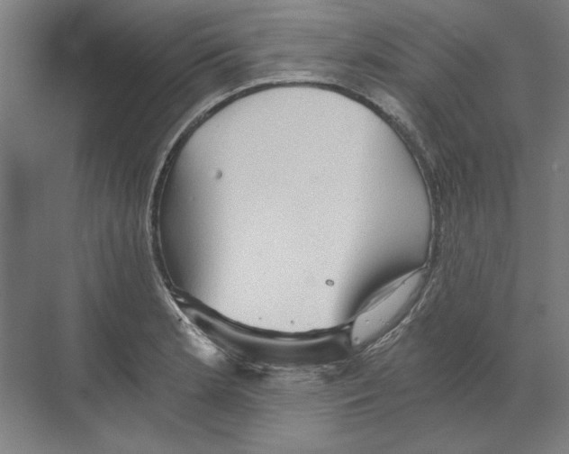 X0000068831181200606021635