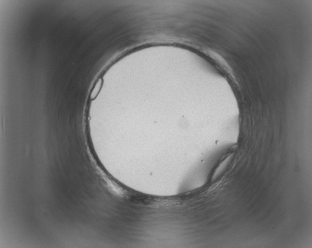 X0000068831183200606021635