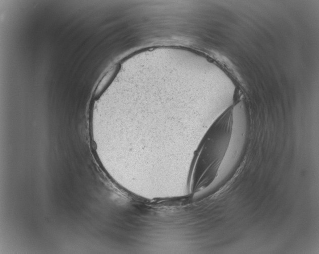 X0000068831184200606021635