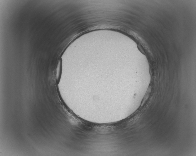 X0000068831185200606021635