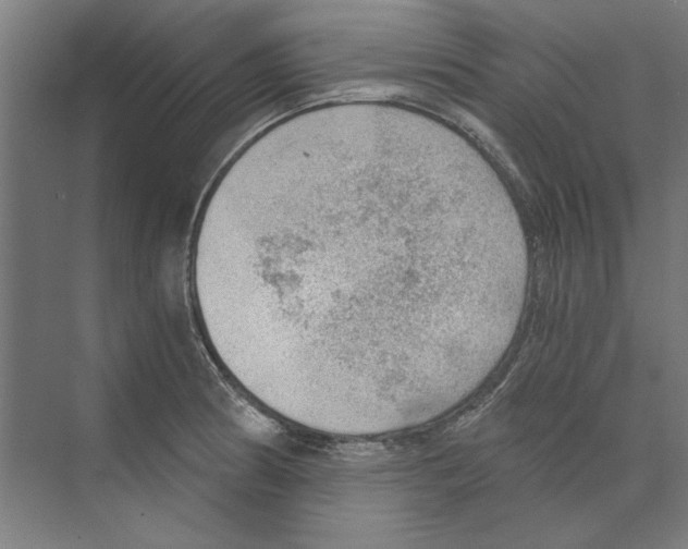 X0000068831186200606021635