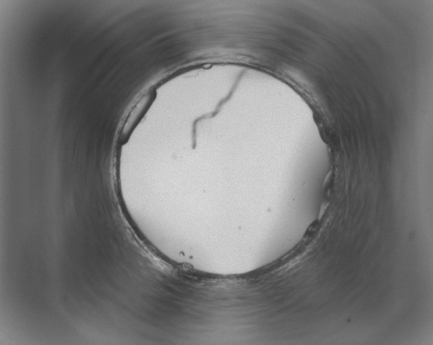 X0000068831188200606021635