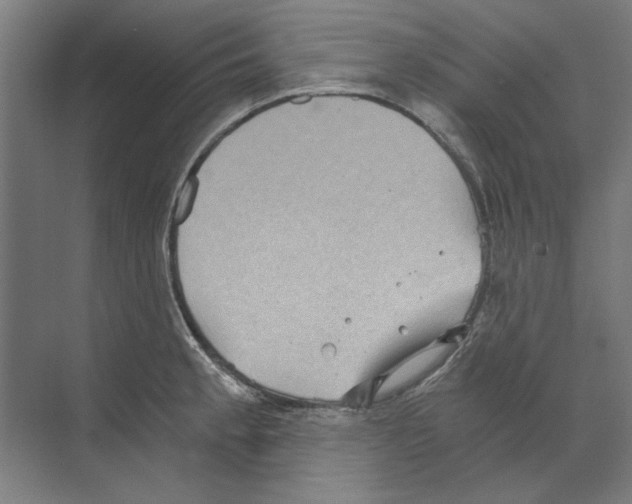 X0000068831189200606021635