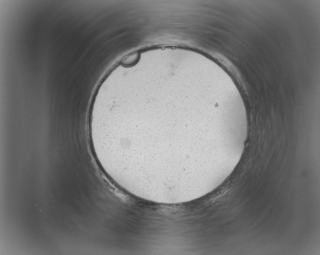 X0000068831191200606021635