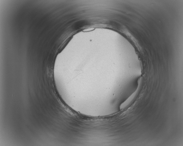 X0000068831193200606021635