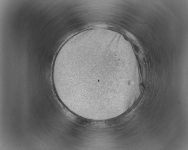 X0000068831194200606021635