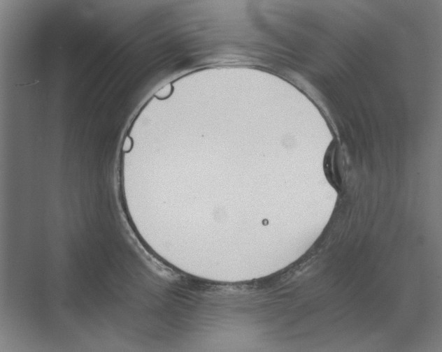 X0000068831195200606021635