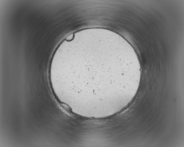 X0000068831197200606021635