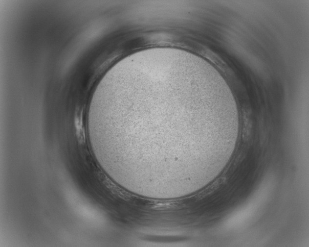 X0000068831198200606021635