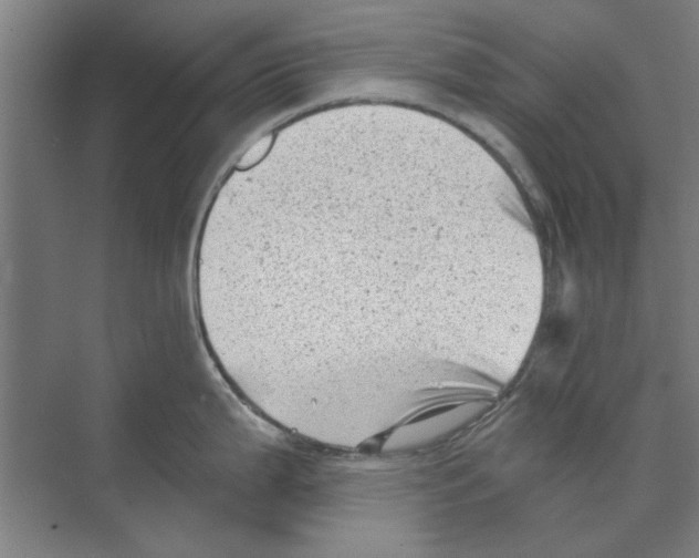 X0000068831199200606021635