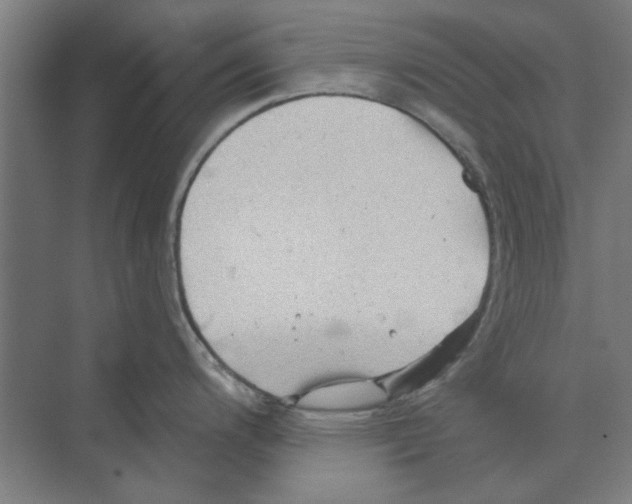 X0000068831200200606021635