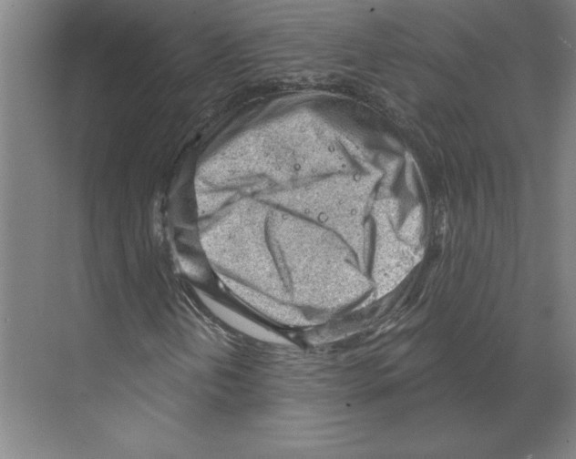 X0000068831202200606021634