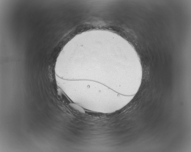 X0000068831205200606021634