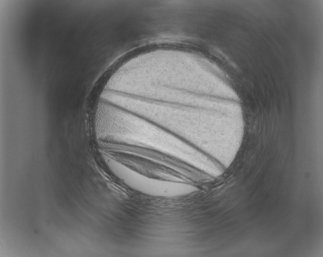 X0000068831208200606021634