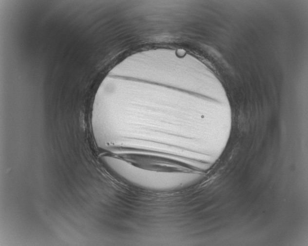 X0000068831209200606021634