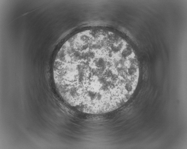 X0000068831213200606021634