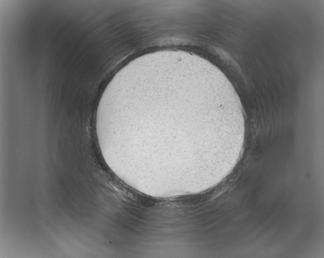 X0000068831217200606021634