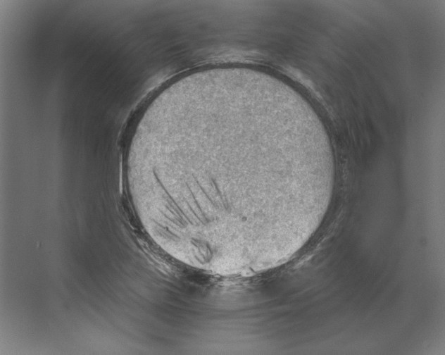 X0000068831219200606021634