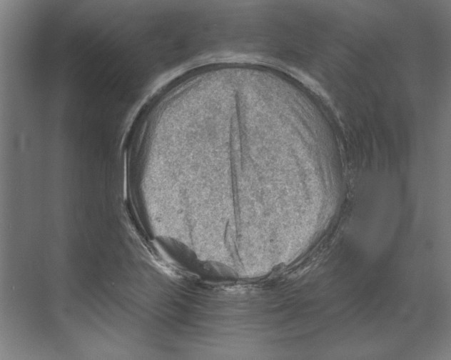 X0000068831223200606021634