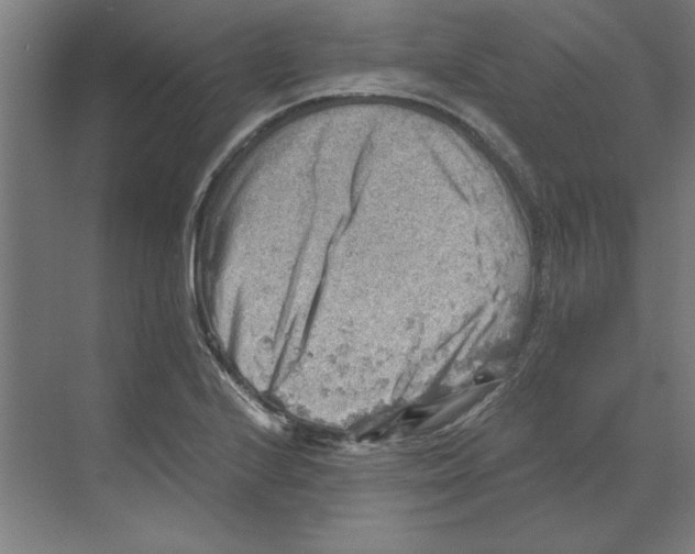 X0000068831224200606021634