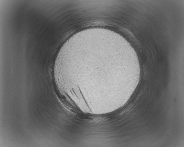 X0000068831225200606021634