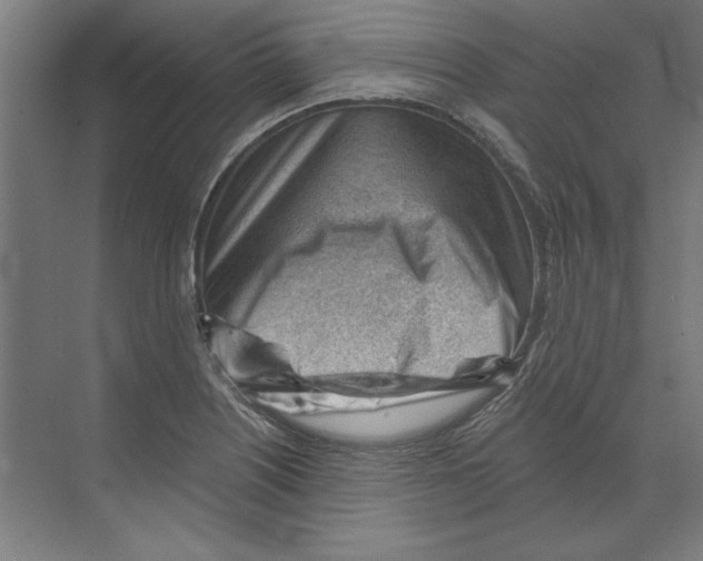 X0000068831226200606021634