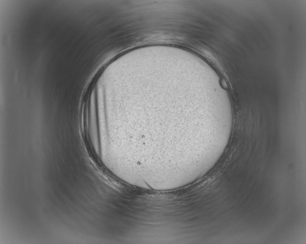 X0000068831227200606021634