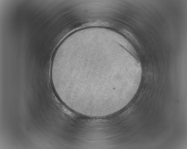 X0000068831228200606021634