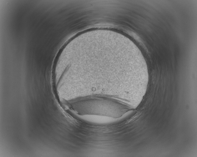 X0000068831229200606021634