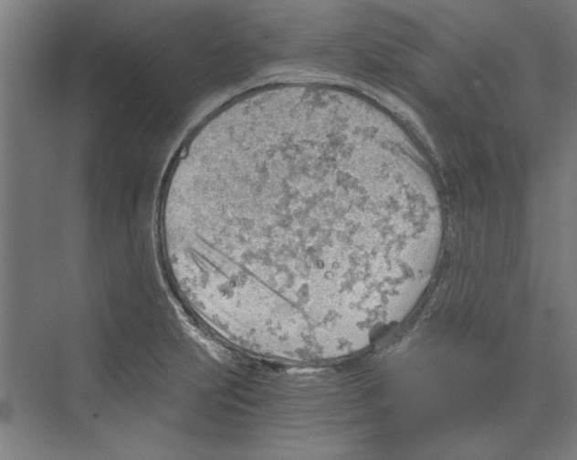 X0000068831231200606021634